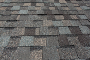Asphalt Roofing Shingles in Wautoma