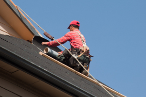 Roofing Contractors in Wild Rose, WI